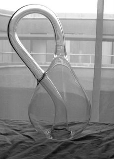 Klein Bottle in Wadham
