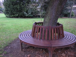 Bench in Trinity College