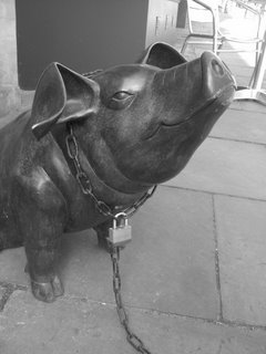 Chained pig, Bath
