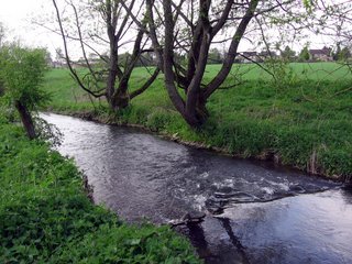 River near Woodstock