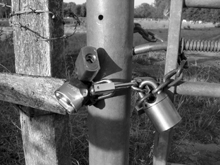 Locks on a gate