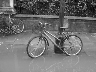 Bike in a puddle on Merton Street