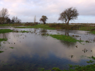 Flooded field near the Port Meadow