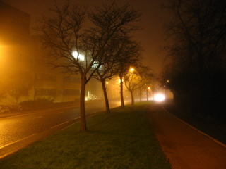 Fog on Parks Road, Oxford