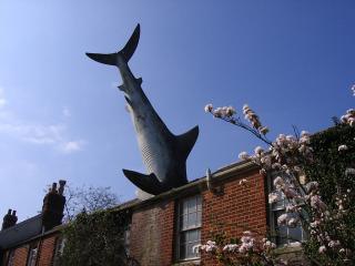 Headington shark, Oxfordshire