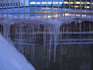 Icicles in Ottawa