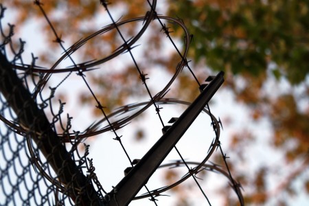 Razor wire and leaves