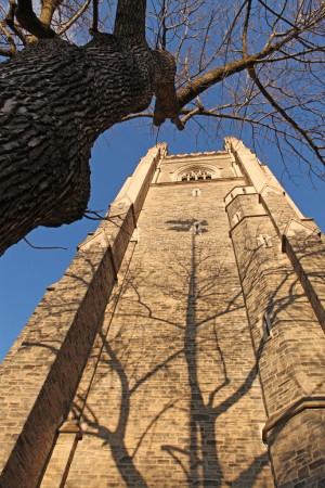 Tree shadow on Soldiers' Tower, University of Toronto