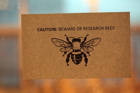 "CAUTION: BEWARE OF RESEARCH BEES"