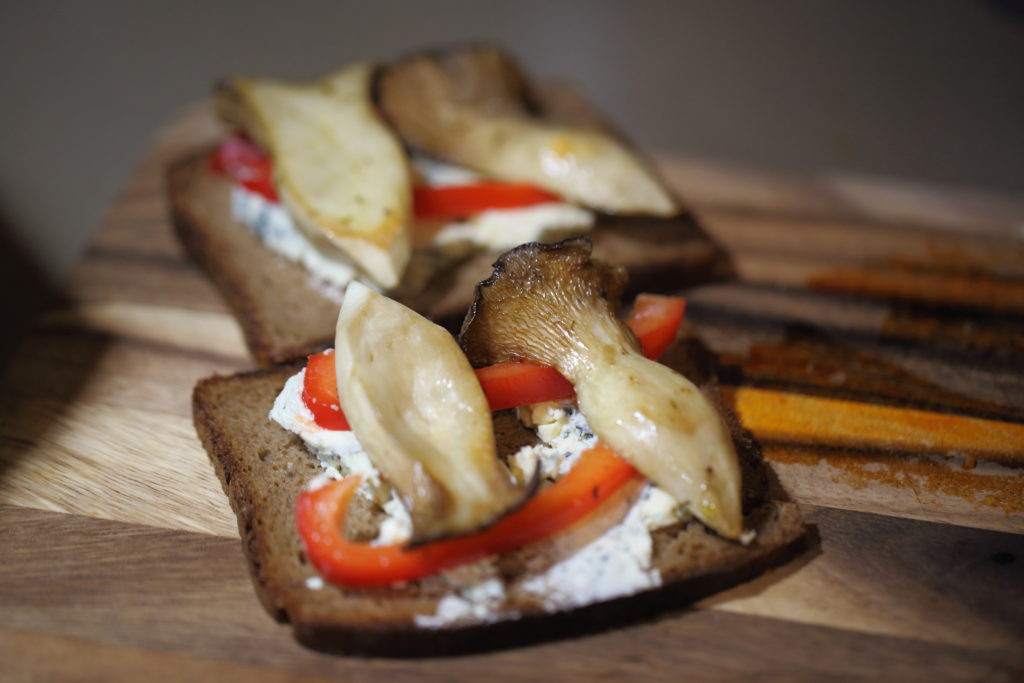 Blue cheese and king oyster mushroom sandwiches a sibilant intake of